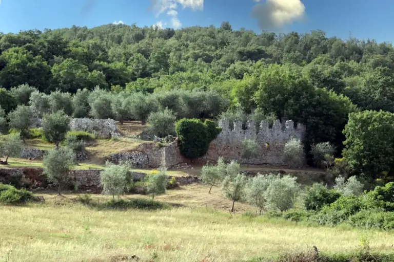 Castello degli Accarigi 1