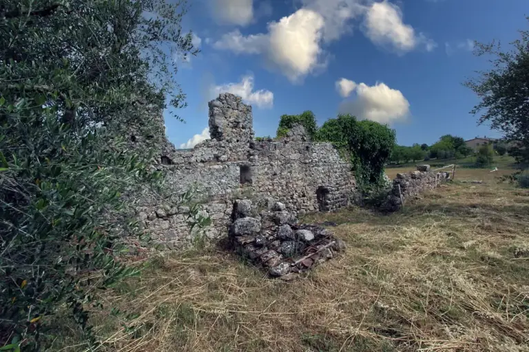 Castello degli Accarigi 4
