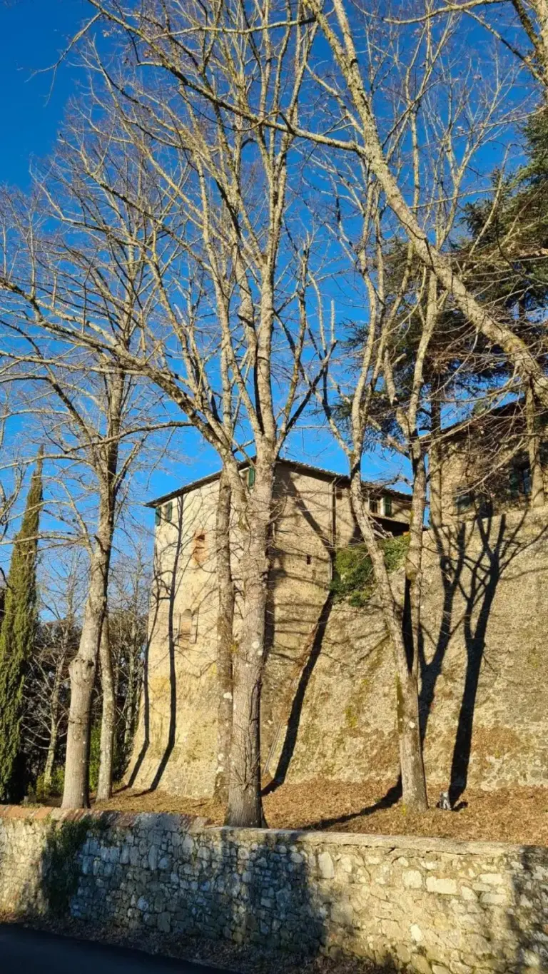 Castello di Aiola 6