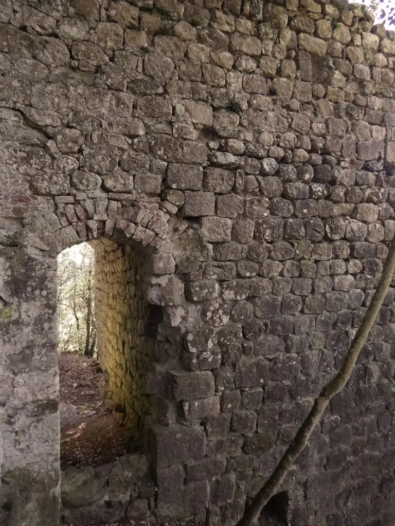 Castello dei Vescovi (Rocca di Berignone) 8