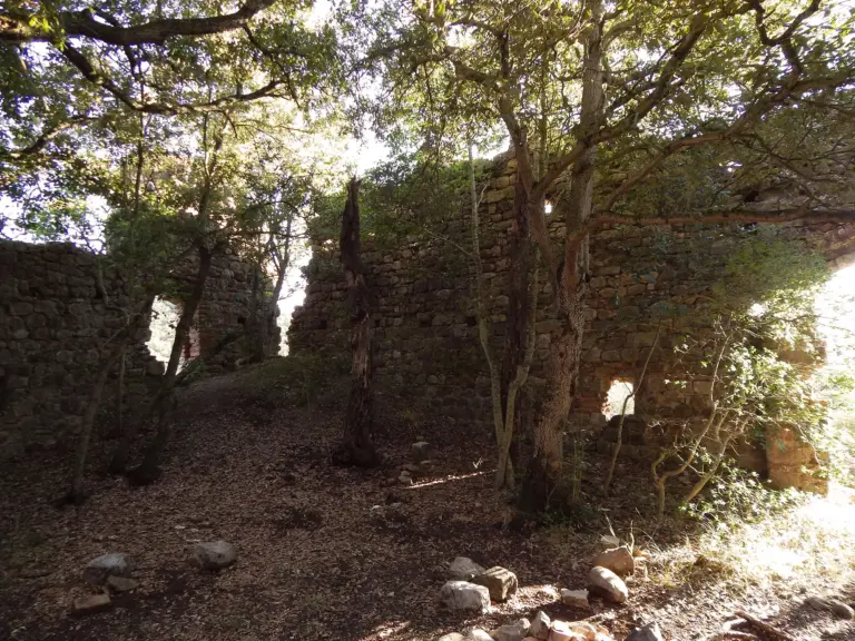 Castello dei Vescovi (Rocca di Berignone) 15