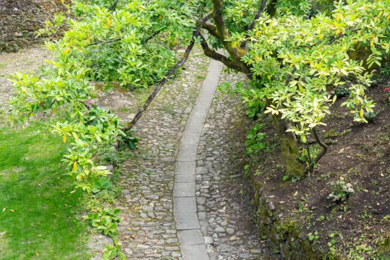 Rocca di Camporgiano 10