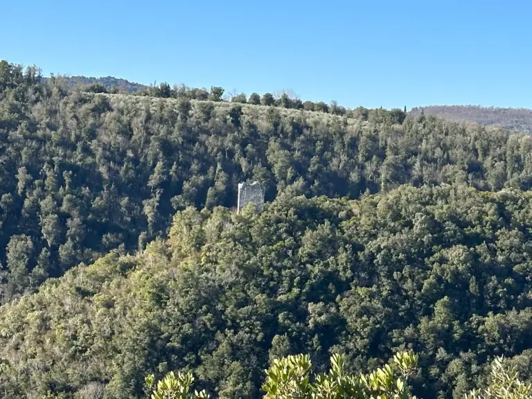 Castelvecchio di San Gimignano 19