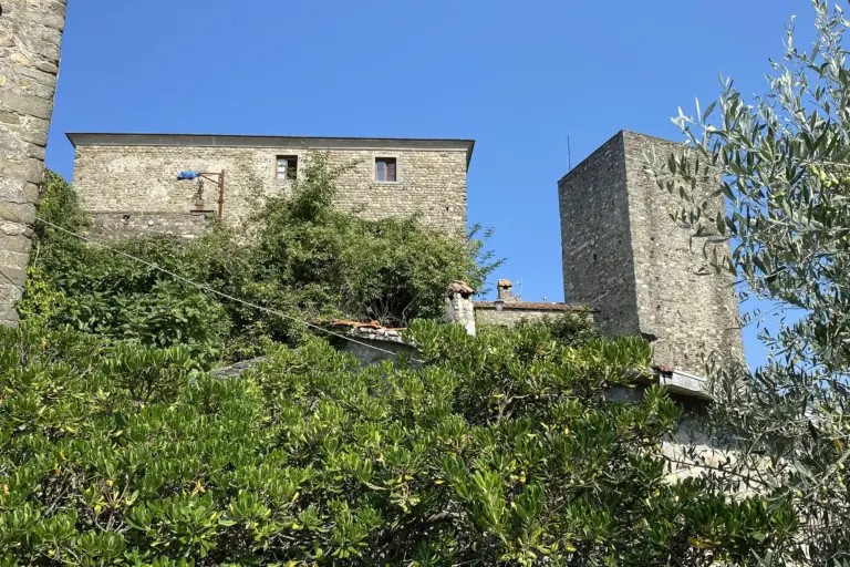 Castiglione del Terziere 6