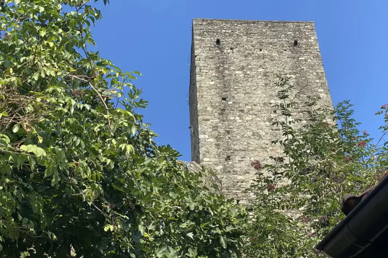 Castiglione del Terziere 7