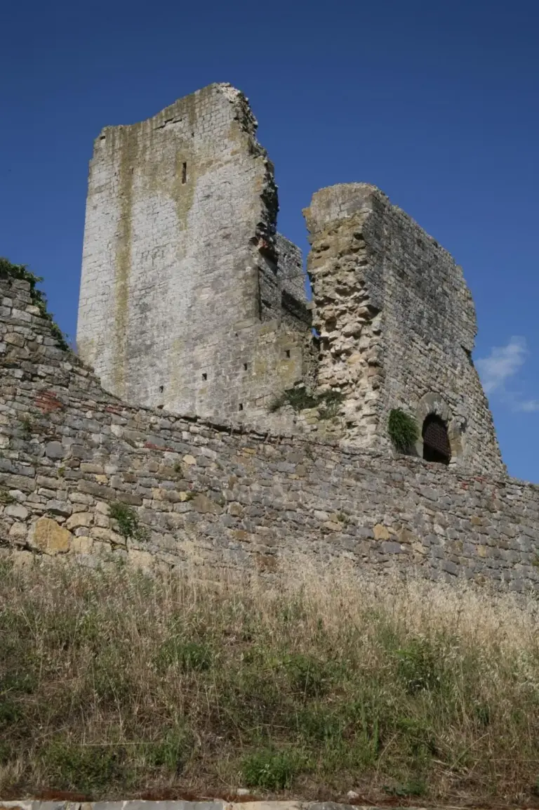 Castello di Cennina 4