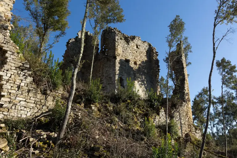 Castello di Cepparello 2