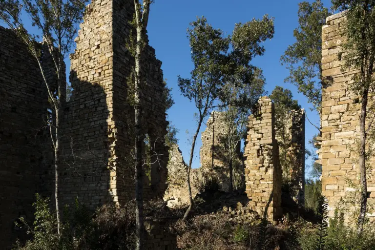 Castello di Cepparello 3