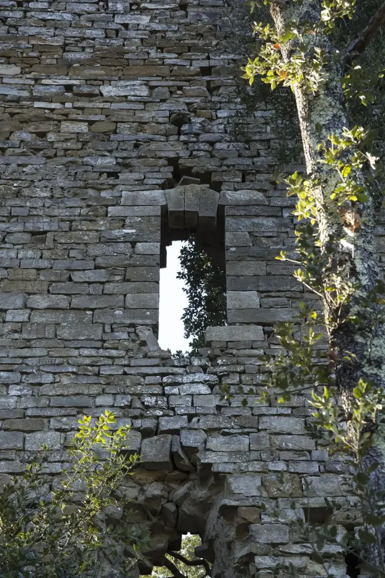 Castello di Cepparello 12
