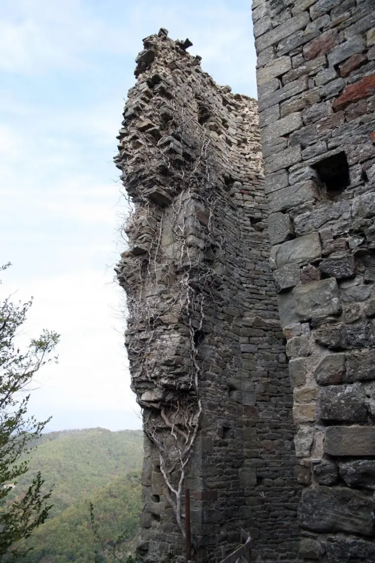 Rocca Cerbaia 25