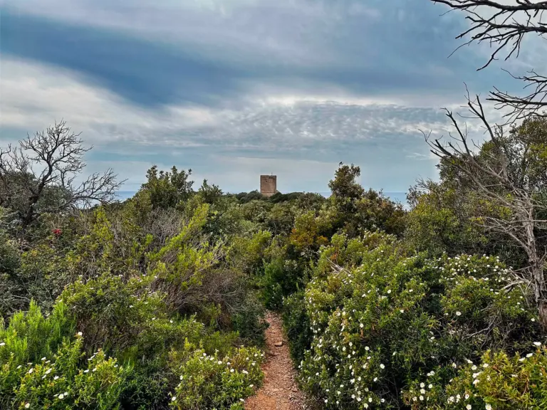 Torre di Collelungo 5