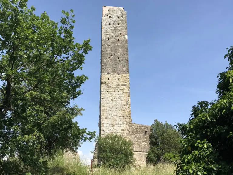 Castello di Crevole 2