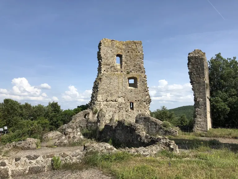 Castello di Crevole 1