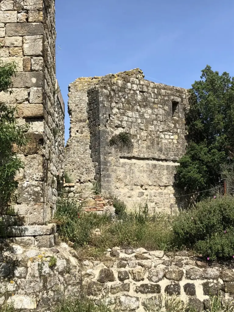Castello di Crevole 4