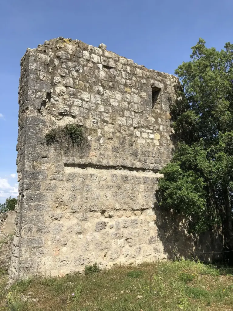 Castello di Crevole 6