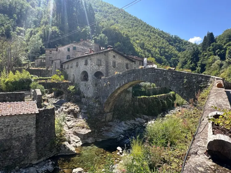 Ponte della Dogana 1