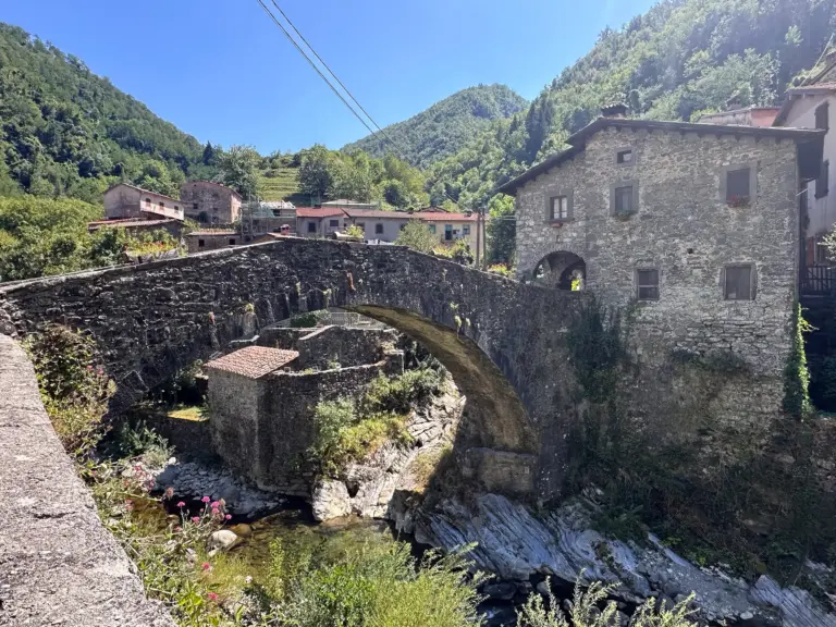 Ponte della Dogana 2