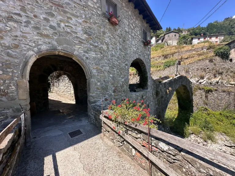 Ponte della Dogana 4