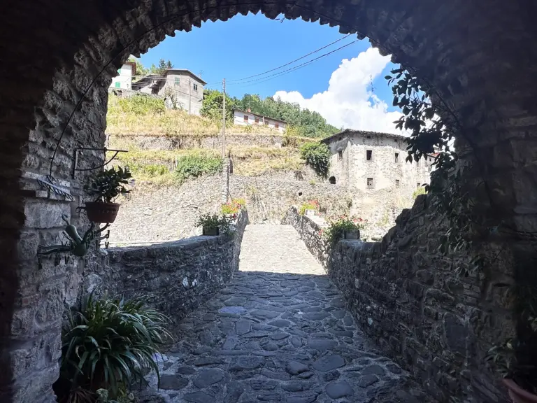 Ponte della Dogana 5