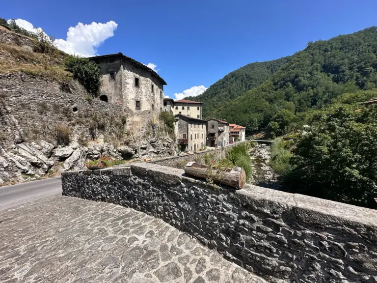 Ponte della Dogana 6
