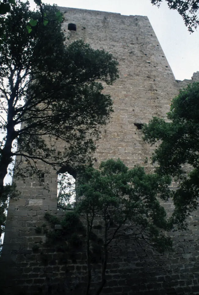 Torre di Donoratico 5
