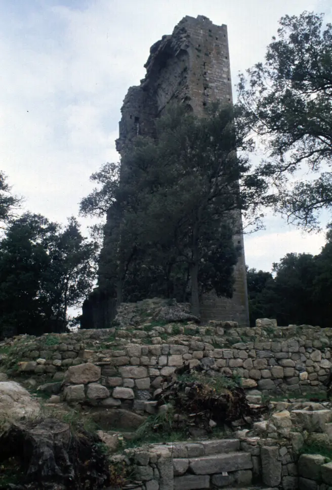 Torre di Donoratico 6