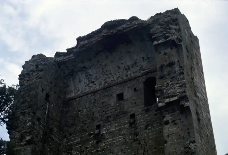 Torre di Donoratico 7