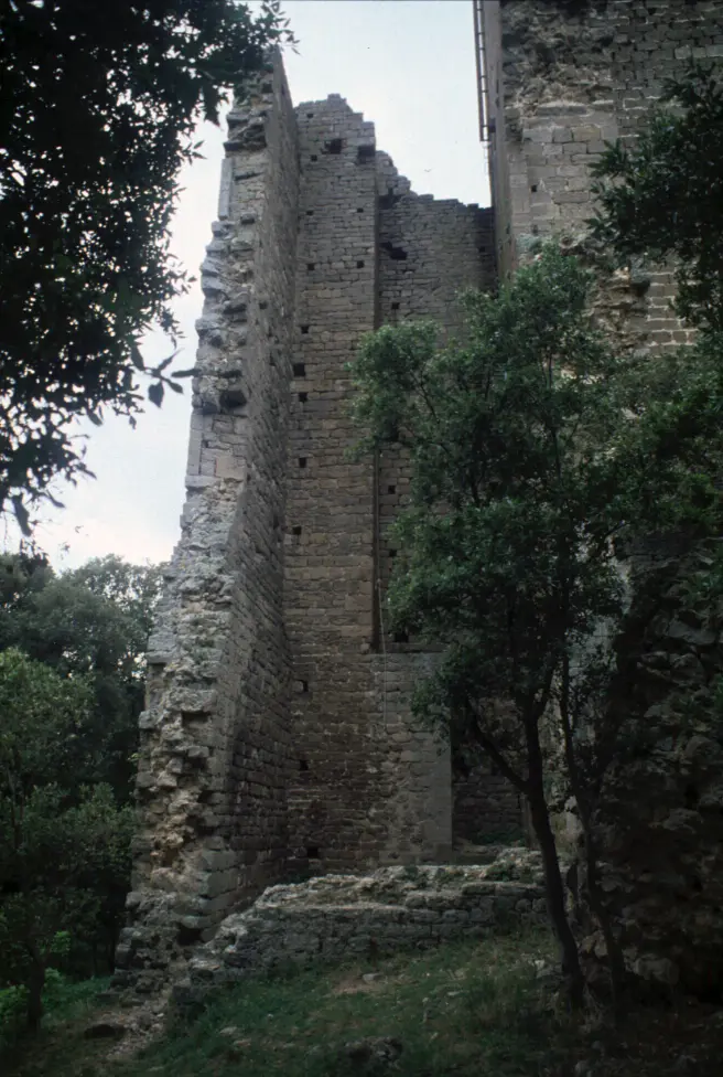 Torre di Donoratico 8