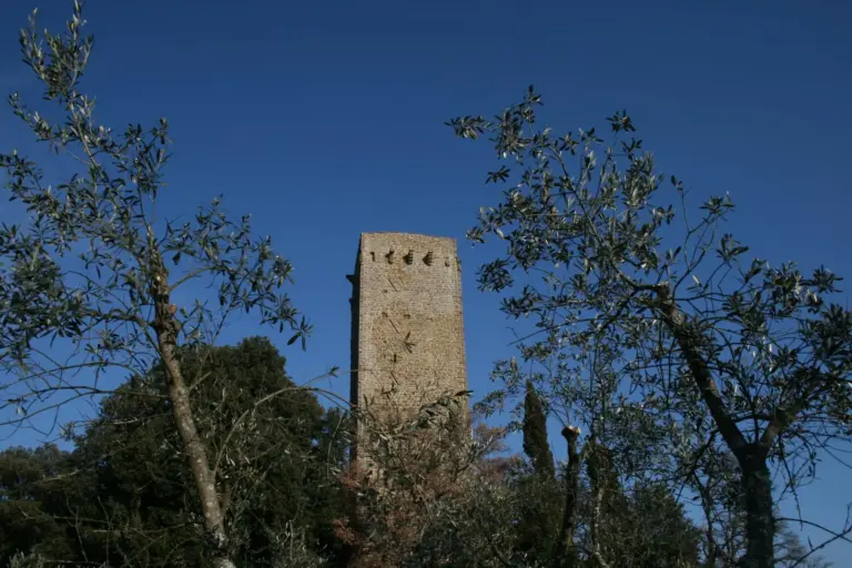 Torre di Galatrona 4