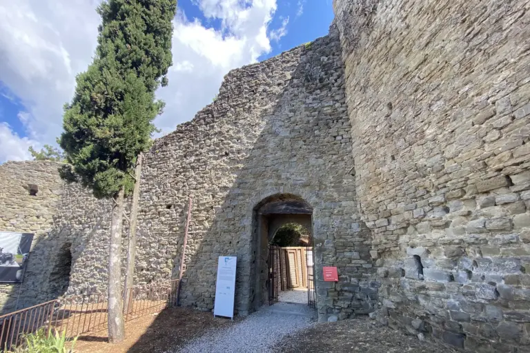 Fortezza del Girifalco 15