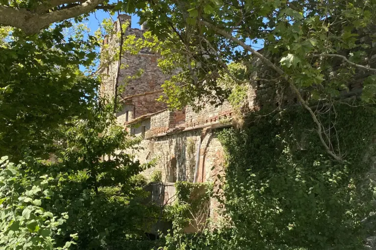 Gualchiere di Remole 6