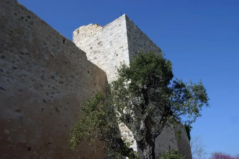 Mura di Magliano in Toscana 8