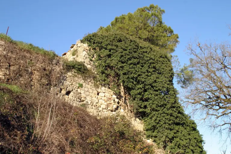 Castello di Montarrenti 6