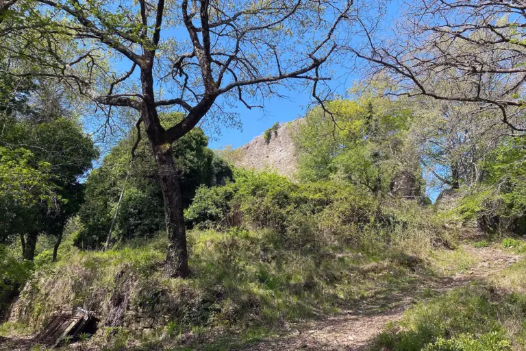 Castello di Montedomenichi 2