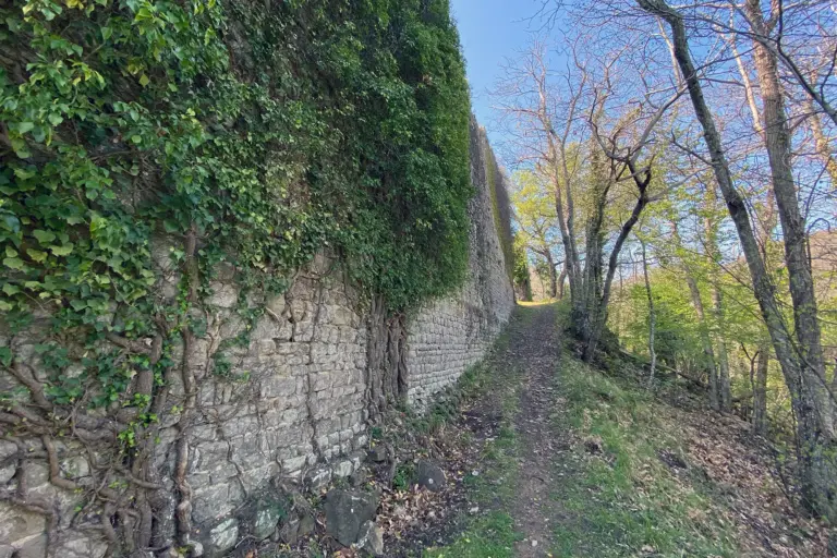 Castello di Montedomenichi 5