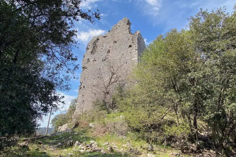 Castello di Montegrossi 2