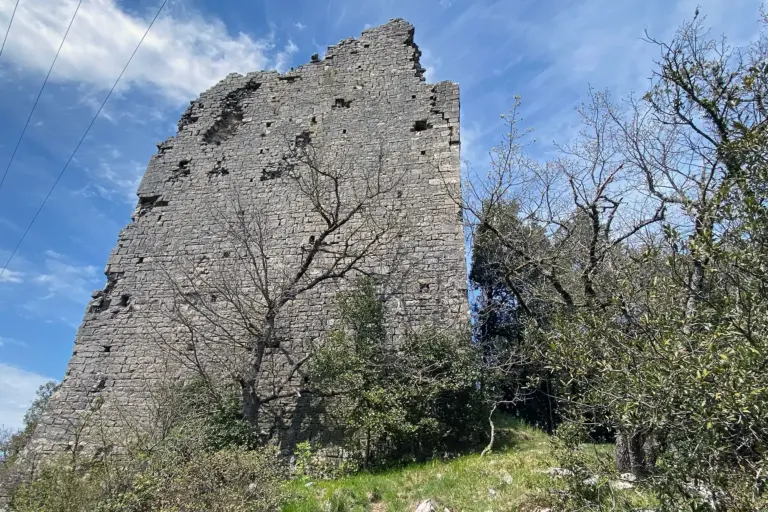 Castello di Montegrossi 3