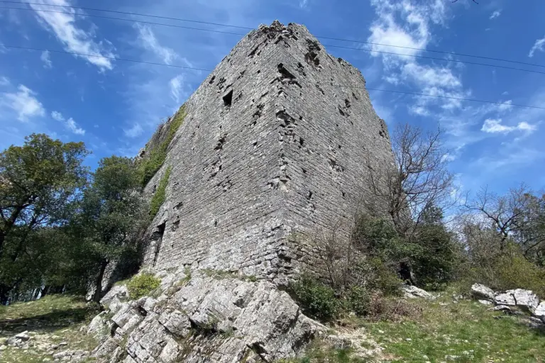 Castello di Montegrossi 4