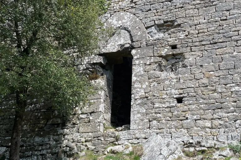Castello di Montegrossi 6
