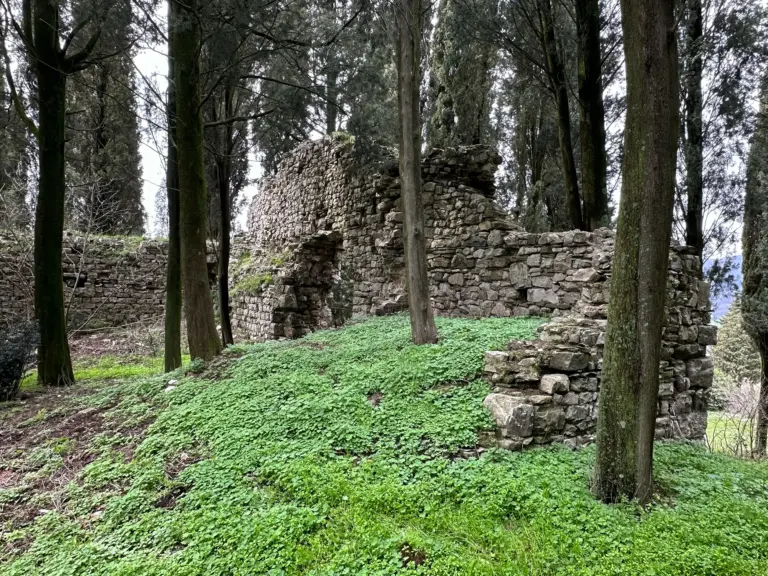 Castello di Monteloro 3