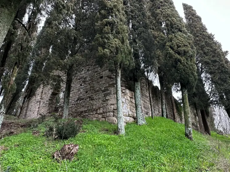 Castello di Monteloro 10