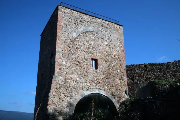 Mura di Montepescali 9