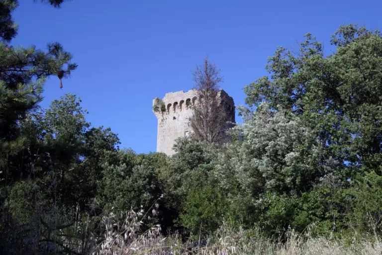 Rocca e Mura di Monticchiello 10