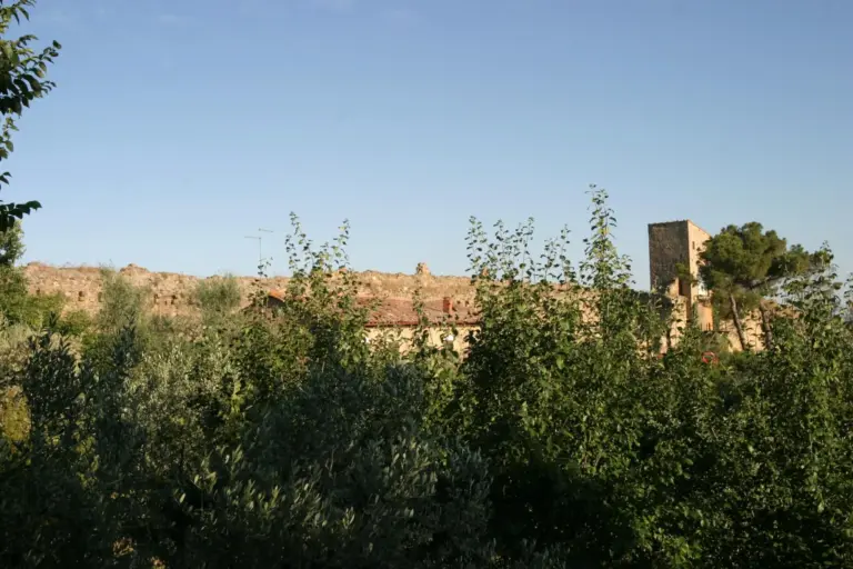 Rocca e Mura di Monticchiello 12