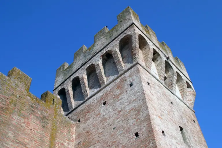 Castello di Oliveto 5