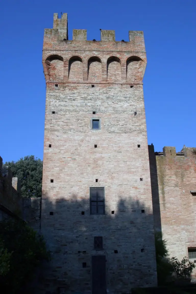 Castello di Oliveto 7