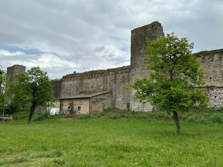 Mura e Cassero Senese - Paganico 12