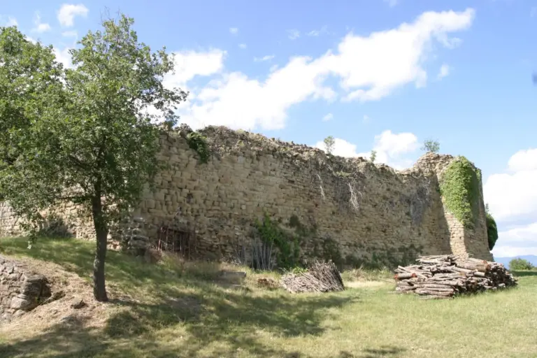 Castello di Pianettole 5
