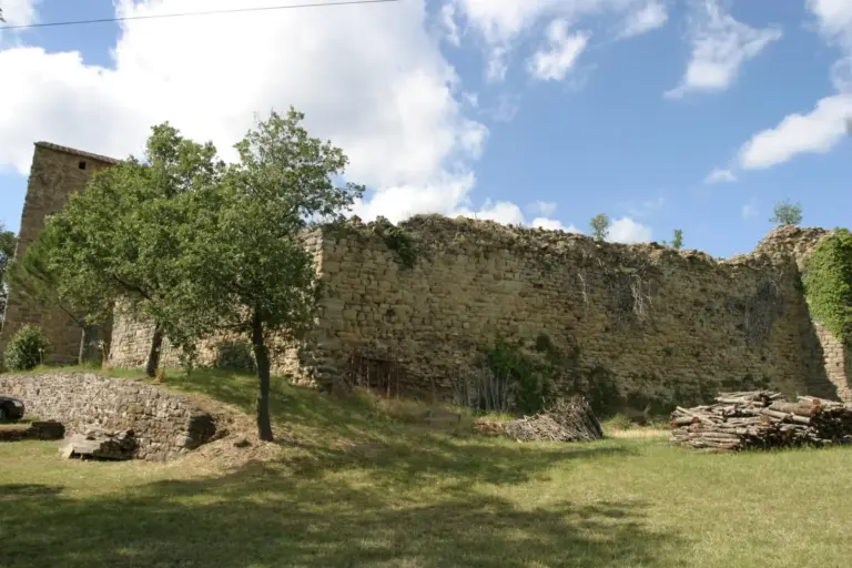 Castello di Pianettole 9