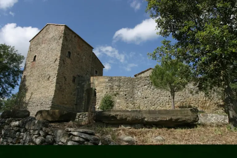Castello di Pianettole 11